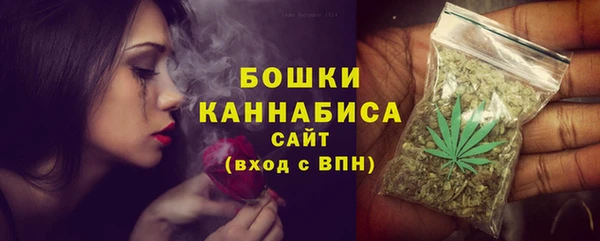 мдпв Магас