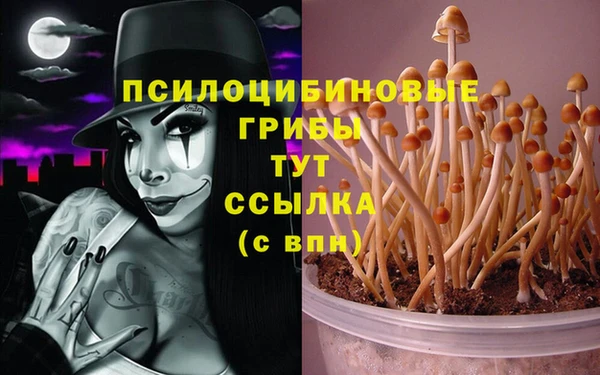 мдпв Магас